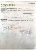 CIE A level Biology , summary study notes on Proteins