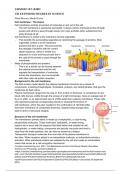 Essay Cell And Microbiology 