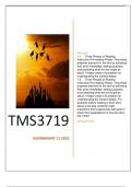 TMS3719 ASSIGNMENT 11 SEM 2 2023