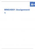MNG4801 Assignment 1.