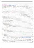Summary -  Accounting basics notes (from textbook) (7127)