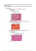 BIO 303 General Physiology Week 5: Muscles note