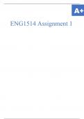 ENG1514 Assignment 1.