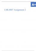 LML4807 Assignment 2