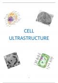 OCR - A-level Biology Cell Ultrastructure notes 