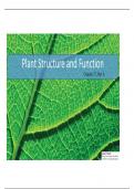 Chapter 27 powerpoint/plant structure & function