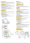 ANTH 5 intro to biological anthropology final cheat sheet/study guide