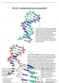 Summary -  DNA structure