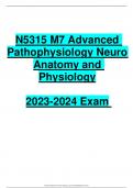 N5315 M7 Advanced  Pathophysiology Neuro  Anatomy and  Physiology