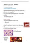 Samenvatting Hematologie 