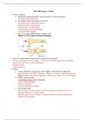 Chapter 7: Sensory Physiology - Study Guide + Chapter Outline