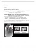 Radiologie thema 1.11 (MZK jaar 1 blok D)