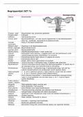 OZT 7 - Samenvatting & Begrippenlijst 