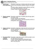 Exam 1 Histology Pictures