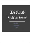 BIOS 242 Lab Practicum Review Chamberlain