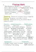 Financial Accounting Unit 1 Review Notes