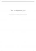 what-is-a-group-assignment 22.pdf