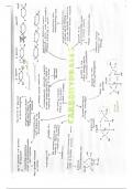 OCR A-Level Biology - Biological Molecules - Carbohydrates Poster