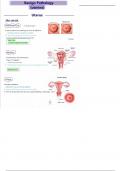 5. benign uterine pathology (obgyn) ultrasound