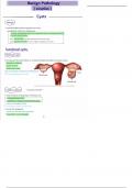 6&period; benign ovarian pathology &lpar;obgyn&rpar; ultrasound