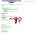 6. benign ovarian pathology (obgyn) ultrasound