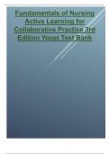 Fundamentals of Nursing Active Learning for Collaborative Practice 3rd Edition Yoost Test Bank&period;pdf