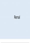 Renal (Medical School Finals Summary Notes)