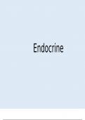 Endocrinology (Medical School Finals Summary Notes)