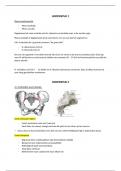 samenvatting anatomie 2 (onderste kwadrant), UA