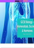 GCSE Biology - Homeostasis, Excretion & Hormones