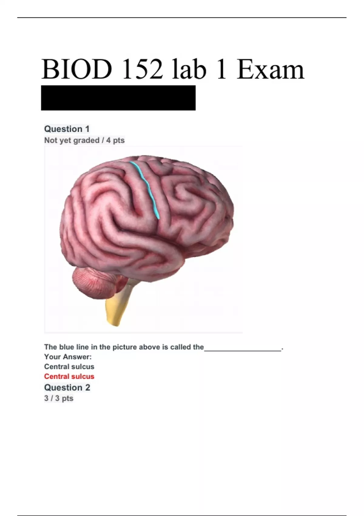 BIOD 152 lab 1 Exam questions and answers latest [100% correct answers ...