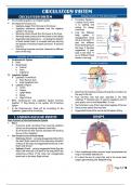 Anatomy Comprehensive notes on Circulatory System