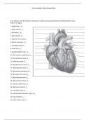 Class notes Anatomy And Physiology 