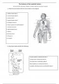 Class notes Anatomy And Physiology 