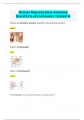 Human Reproductive Anatomy Questions and Answers Graded A