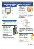 Anatomy Comprehensive Notes on Large Intestine, Superior and Inferior Mesenteric Arteries and Veins associated structures
