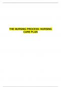 THE NURSING PROCESS: NURSING CARE PLAN