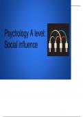 social influence revision presentation