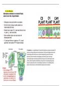 Samenvatting fotosynthese C3,C4 en CAM planten