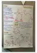 Wjec A Level Biology ATP Revision Notes 