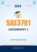 SAE3701 Assignment 2 Semester 2 2024