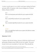 Sherpath -Overview Of Chronic Kidney Disease BSN 246&period;