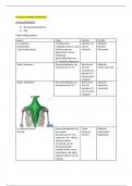 samenvatting - Functionele anatomie: musculatuur bovenste extremiteiten