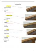 Samenvatting -  houttechnologie
