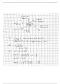 Lecture notes: Mathematics - Pure Maths, Straight Line Graphs 