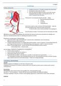Voordeelbundel pediatrie ortho, pneumo, pijn, endocrino