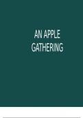 An apple gathering analysis