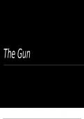 The gun analysis