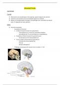 functionele anatomie: zenuwen samenvatting