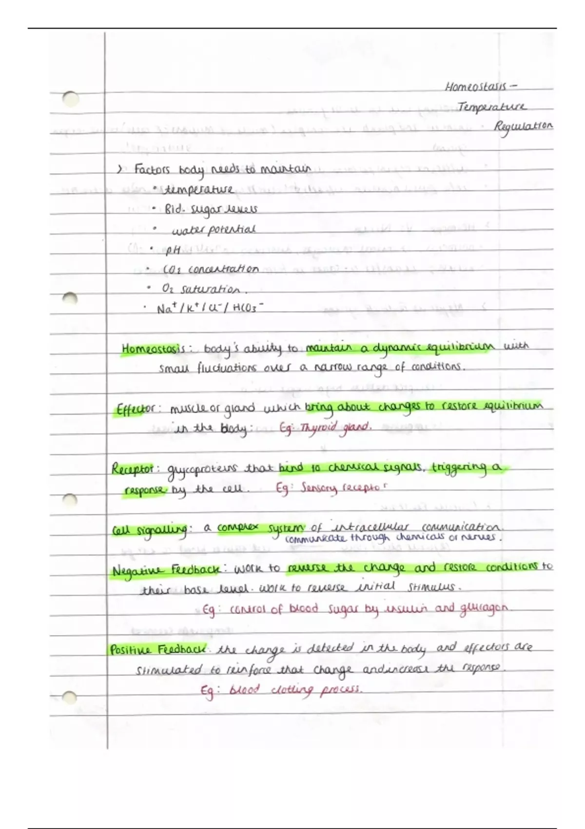 Lesson notes A2 Unit F214 Communication, Homeostasis and Energy
